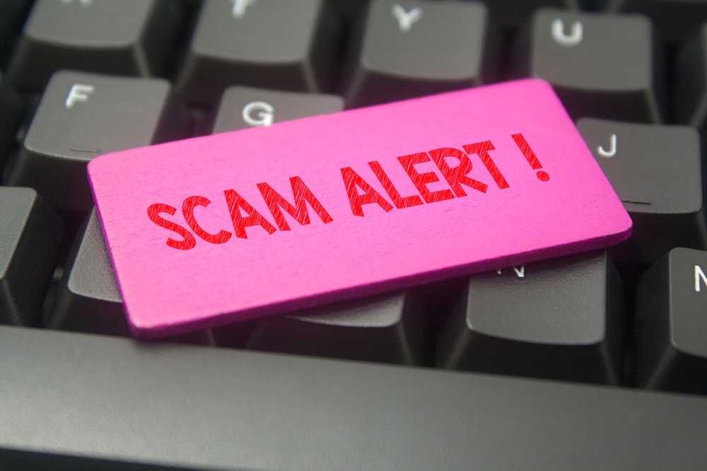 Scam alert investment scams hiding in plain sight 269066