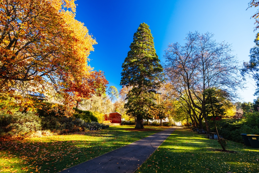 The great australian family getaway 4–5 days to reconnect recharge and celebrate life 269310